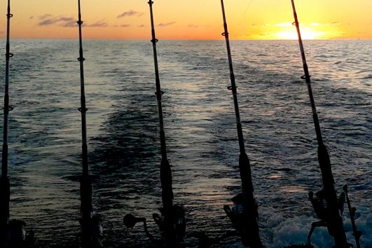 No Limit - Pesca en Tenerife