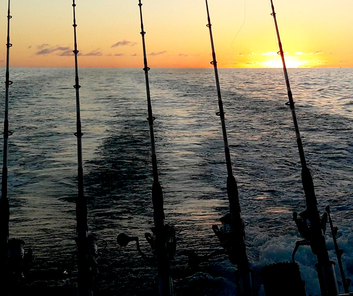 No Limit - Pesca en Tenerife