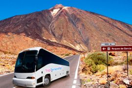 Excursión al Teide